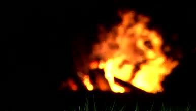篝火晚会柴火点燃的红色火光视频的预览图